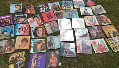 Schallplatten Sammlung Lp 12" 38 Stück Rock,Pop,Sampler, Schlager,... - Bild 1 von 4