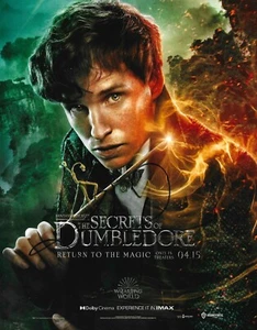 Eddie Redmayne Signed Fantastic Beasts: Secrets Of Dumbledore 10x8 Photo - Picture 1 of 2