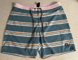 Roark Surf Board Shorts Men 32 Blue Striped Hybrid Swim Trunks Pockets Outdoors - Picture 1 of 3