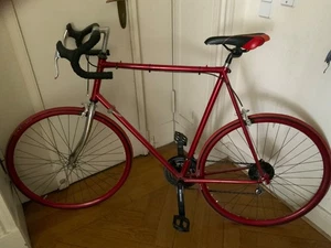 Rennrad für Erwachsene, Größe XL, in sehr gutem Zustand. - Bild 1 von 1