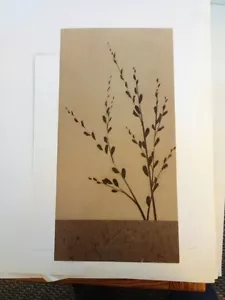 Art Print: " Stillness II" By Katsumi Sugita. Nice Heavy Print. 12 X 24 - Picture 1 of 2