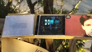 3 CDs FELT THE STRANGE IDOLS FOREVER BREATHES THE LONELY WORD THE FOR CARNATION - Picture 1 of 14