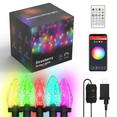 Strawberry 25 Lamp 16.4 Foot Smart BLE LED C7 String Lights 120VAC - no extend - Image 1 of 4