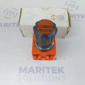Regulador Metal Work 1402002 REG 1/2 08 - Imagen 1 de 4