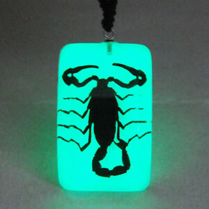 REAL BLACK SCORPION GLOW LUCITE INSECT PENDANT NECKLACE JEWELRY TAXIDERMY GIFT