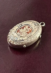 Antique Enamel 19th Century Aesthetic Movement Pendant Locket ๐ - Picture 1 of 6