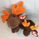 TY Beanie Babies lot of 2 moose: 8" Chocolate & 6" Happy Meal Chocolate MWMT