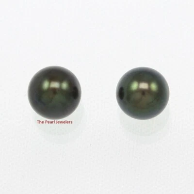 AAA 5.5–6 mm High Luster Black Cultured Pearl Stud Earrings - Image 1 of 4