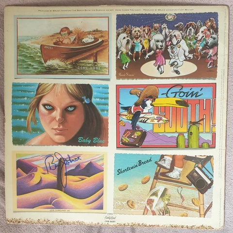 Bruce Johnston Hand Signed The Beach Boys L.A Light Album 12" Vinyl LP Cover