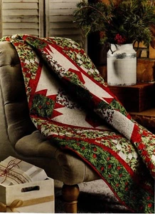 Southwestern Star Quilt Pattern Pieced DN - Picture 1 of 2