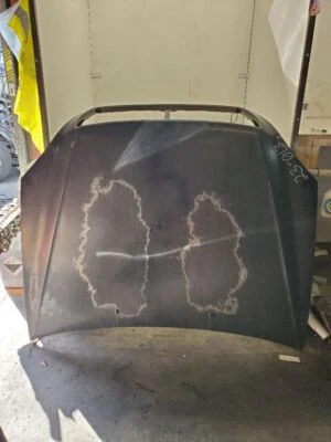 Lexus LS430 IQ, 4DR Hood Assembly, 2001-2004, Black, 202, 53301-50050, OEM - Image 1 of 4