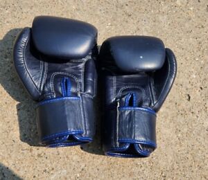 Fairtex BGV1 MUAY THAI LEATHER 12 oz. Boxing Gloves Sparring DK BLUE MMA ex.