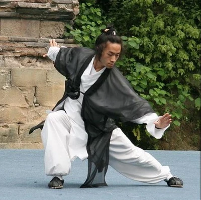 New Chiffon CapeTraditional Kung fu Suit Robes Tai chi Wing Chun Wushu Uniform - Image 1 of 4