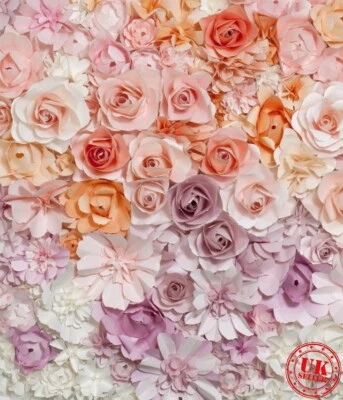 Fondo fotográfico fondo blanco rosa púrpura naranja degradado rosas 5x7 pies Foto 1 de 2