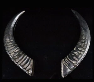Horns to the Helmet - Armor Japan Original - Picture 1 of 12