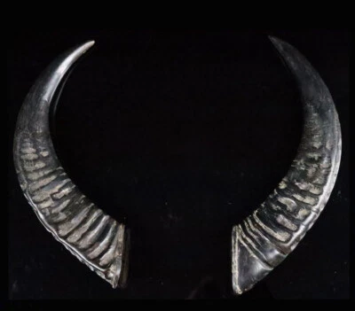 Horns to the Helmet - Armor Japan Original - Image 1 of 4