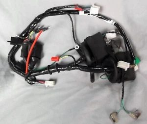Genuine Kymco Pulsar S 125 Wiring Harness 32100-ALG3-C10 - Picture 1 of 2