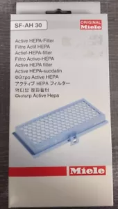 Miele SF-HA 30 AirClean HEPA Filter - Picture 1 of 3