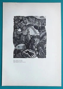 1939 Examples of British Wood Engravings Art Book Illustrations - Picture 1 of 4