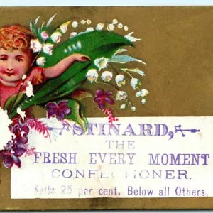 Tarjeta comercial victoriana gnomo chocolate fabricante caramelo confitero Stinerd década de 1880 C17 - Imagen 1 de 3