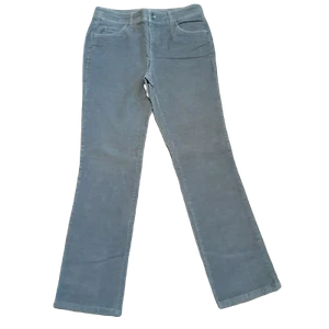 Christopher & Banks Gray Corduroy Pants ~ SZ 4 ~ Straight ~ Mid Rise ~30" Inseam - Picture 1 of 7