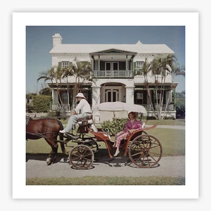 Bermudan Hostess (Matte or Gloss Poster/Print) #5237 - Bild 1 von 3