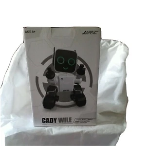 Cady Wile Brand New In Box Records Voice Intelligence Voice Interaction - Picture 1 of 5