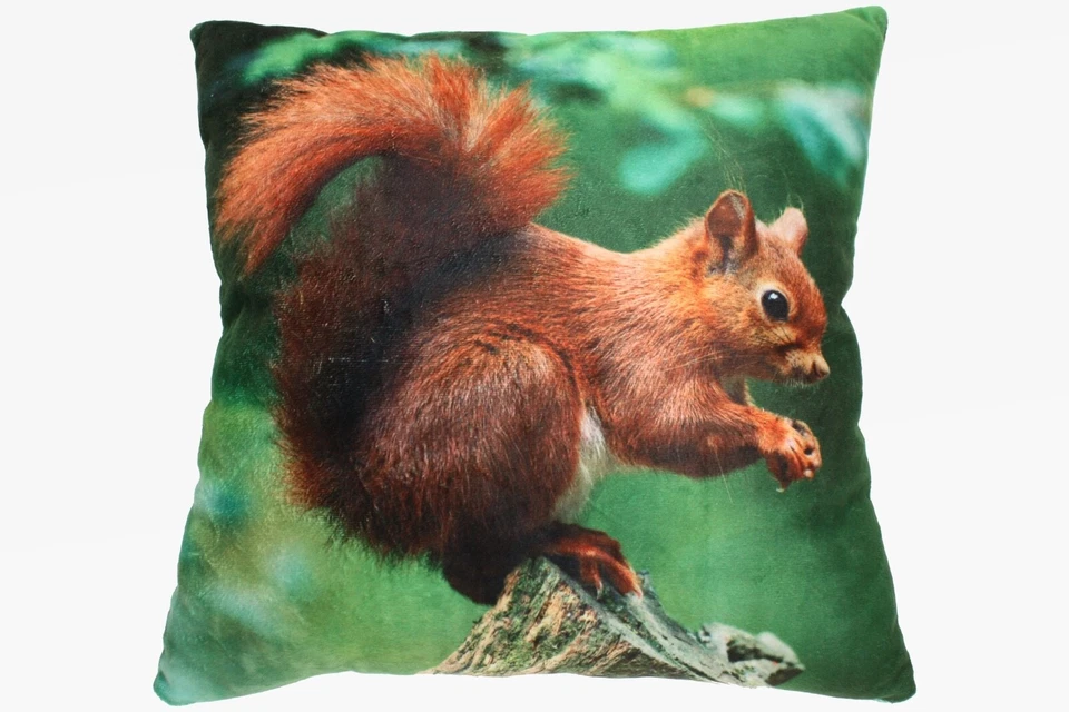 Kissen Motiv Eichhörnchen Deko Kuschelkissen 35x35 cm 1043062 - Bild 1 von 1