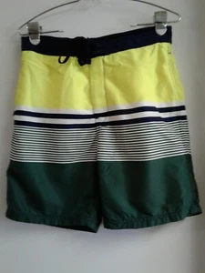 H&M Men's Shorts Swimwear Green Yellow Stripped Mesh Lined Size S - Picture 1 of 5