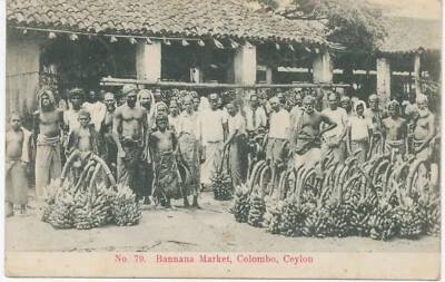 CEYLON / GB rare PC BANANA MARKET COLOMBO 1906 LONDON CDS 22mm HORNSEY / N. - Image 1 of 4