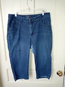 lee jean shorts plus size