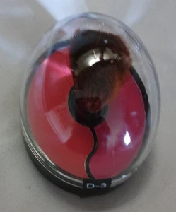 new GIOVI 3pk duo Blush compact , mineral blush. luminous glow smooth finish D-3 - Picture 1 of 4