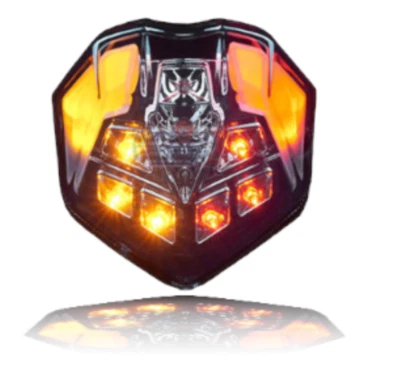 Luz trasera intermitente FIT Triumph Street Triple/R Stock 2013 2017 humo 13~2020 Foto 1 de 2