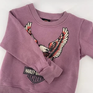 Harley-Davidson Eagle Graphic Pullover Crewneck Sweatshirt Top Kids Size 6/6X - Picture 1 of 5