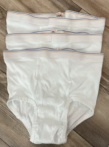 3 Vintage Fruit of the Loom Underwear Briefs Large 38-40 Blue Yellow Stripe USA - Picture 1 of 5