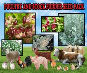 ANIMAL STOCK FODDER SEEDS-7 PACKETS-TREE-LUCERNE-ACACIA-SALT BUSH-SHE-OAK PLANTS - Picture 1 of 11