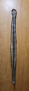 Rattlesnake Skin Taxidermy Felt Rug Mount Diamondback rattlesnake mount man cave - Picture 1 of 10