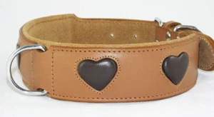 Tan Staffie Dog Collar Brown Heart Staffy Dog Staffordshire Bull Terrier Bulldog - Picture 1 of 7