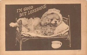 AK: Ich bin gut aber einsam, kleiner Hund im Bett, DB 1910er Jahre verschickt - Bild 1 von 2