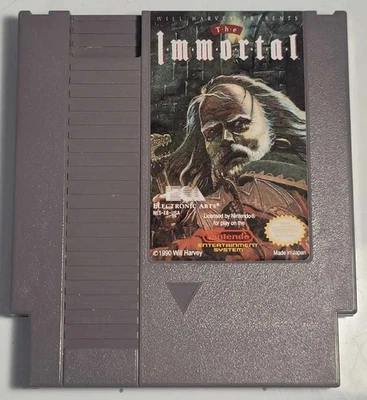 The Immortal (Nintendo Entertainment System, 1990) Tested - Image 1 of 4