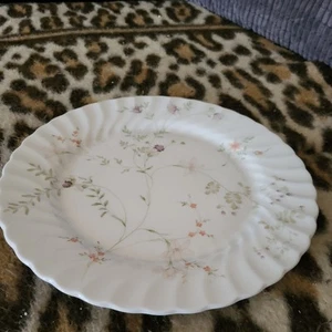 Wedgewood Bone China Dinner Plate - Campion Pattern - Picture 1 of 3