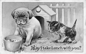 Postal: Cachorro y gatito, ¿puedo almorzar contigo? 1910 por F&H Levy - Imagen 1 de 2
