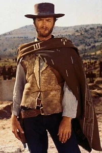 Clint Eastwood 20x30 inch Photo Rolled Wall Poster - Picture 1 of 2