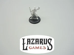Privateer Press Warmachine Mercenaries: Sylys Wyshnalyrr the Seeker (metal) - Imagen 1 de 4