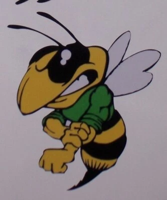 Camisa VERDE Angry Bee Calcomanía Adhesiva FIt Ski Doo Scat Pack Cargador Challenger SRT Foto 1 de 2