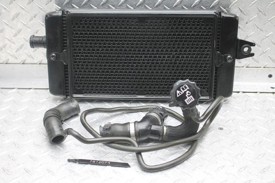 Triumph Street 2016 doble motor radiador motor enfriador radiador de refrigeración Foto 1 de 4