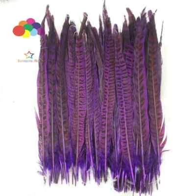 Natural Dyeing Colour 25-35 CM/10-14 Inch Pheasant Feathers for DIY Craft - Image 1 of 4