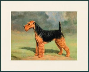 WELSH TERRIER GREAT DOG PRINT MOUNTED READY TO FRAME - Picture 1 of 1