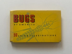 Lillian Davids Fazzini BUGS OF AMERICA | 1937 Whitman Mini Illustrated Hardcover - Picture 1 of 14