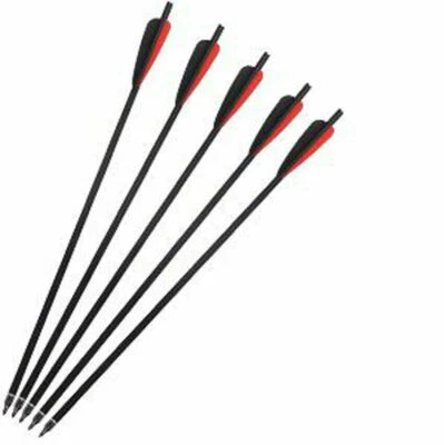 6Pcs 22" Mixed Carbon Crossbow Archery Hunting Arrows 8.8mm for Outdoor Shooting - Image 1 of 4